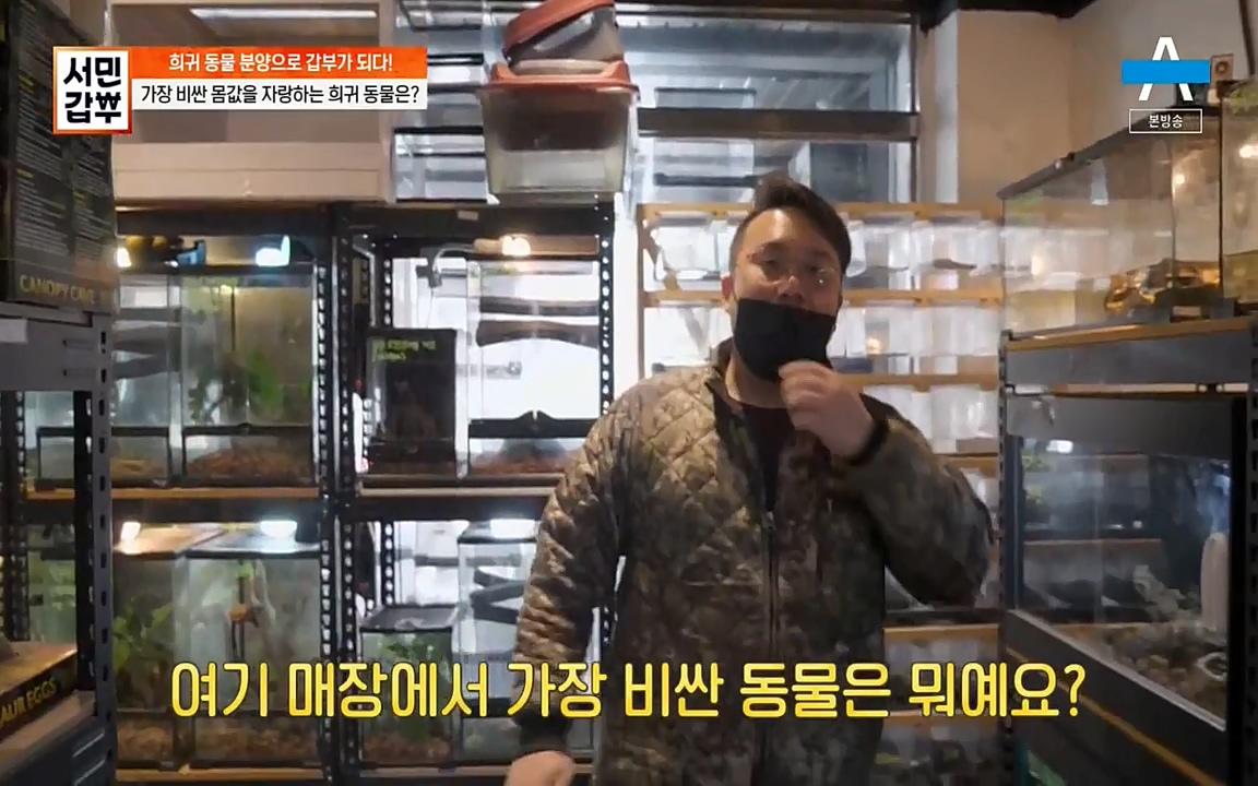 서민 갑부.E381.220431p-NEXT.mp4_20220501_174453.778.jpg