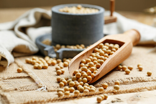 soybeans-wooden-scoop-little-stone-mill