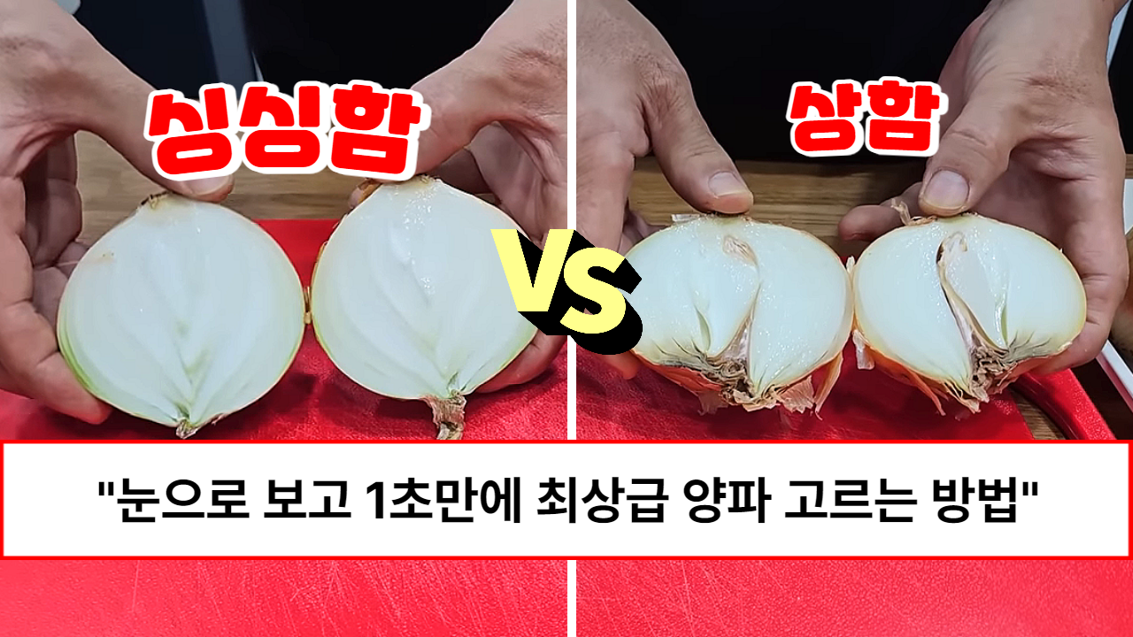 “만져보지 않아도 성공확률 1000% 입니다” 눈으로만 보고도 1초만에 싱싱한 최상급 햇양파 고르는 초간단 방법