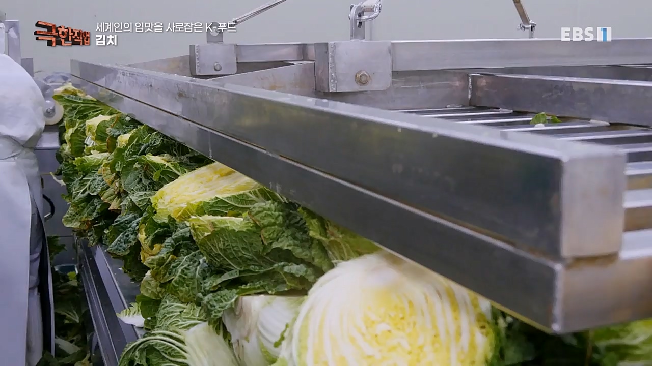 TV - 교육의 중심 EBS세계인의 입맛을 사로잡은 K-푸드.mp4_20230211_183501.868.jpg