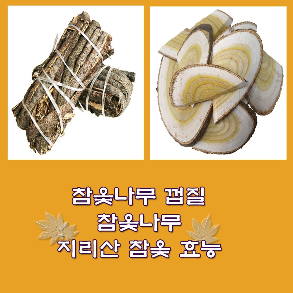 옻.옻나무.참옻나무 껍질 효능