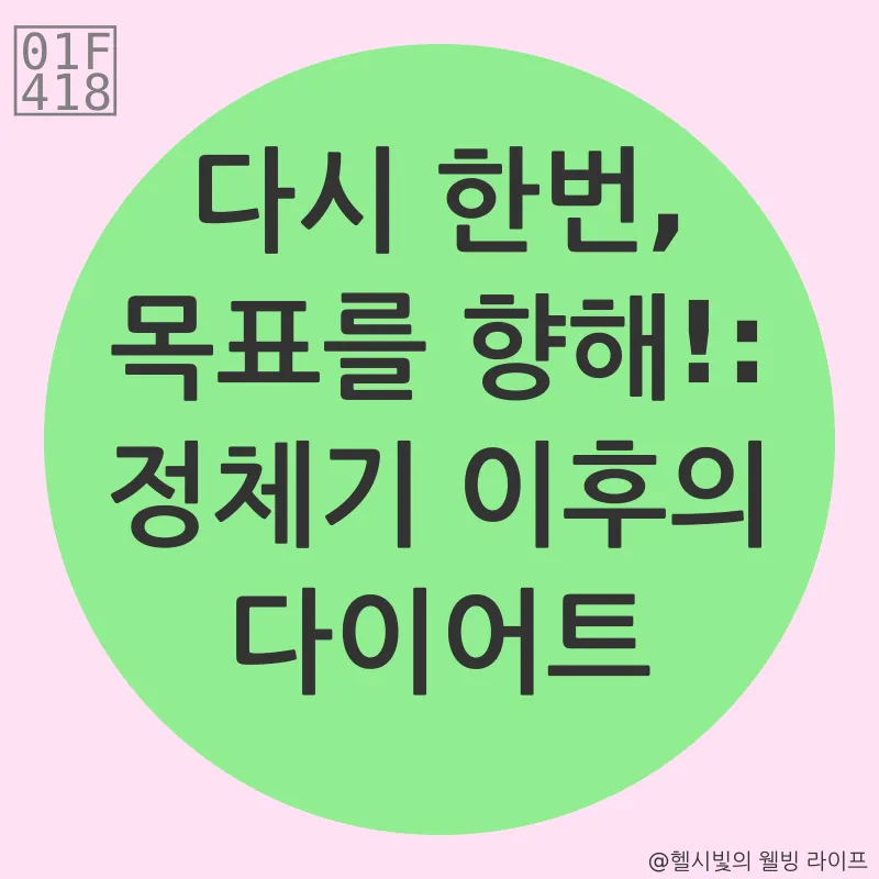 다이어트 정체기 극복_3