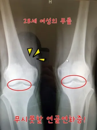 연화랑 이미지