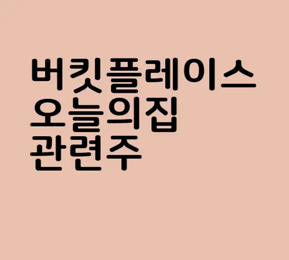 버킷플레이스 오늘의집 관련주