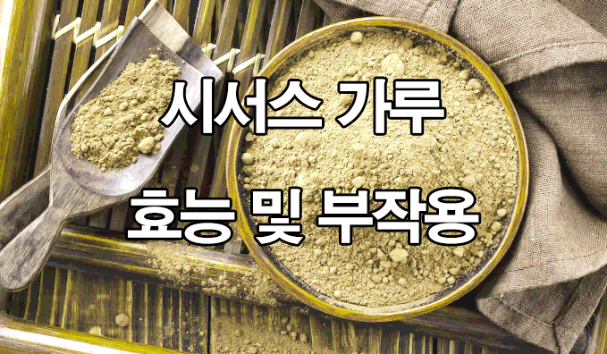  시서스 가루 효능 및 부작용 : 뼈 건강