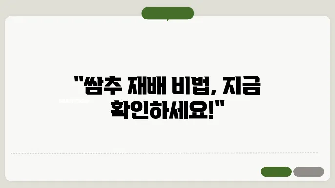 쌈추 씨앗 파종시기 재배 및 쌈추 요리 알아보기