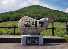 곰배령 정상부(1&#44;164m)