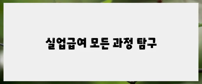 실업급여의 신청부터 수급까지 모든 과정 이해하기