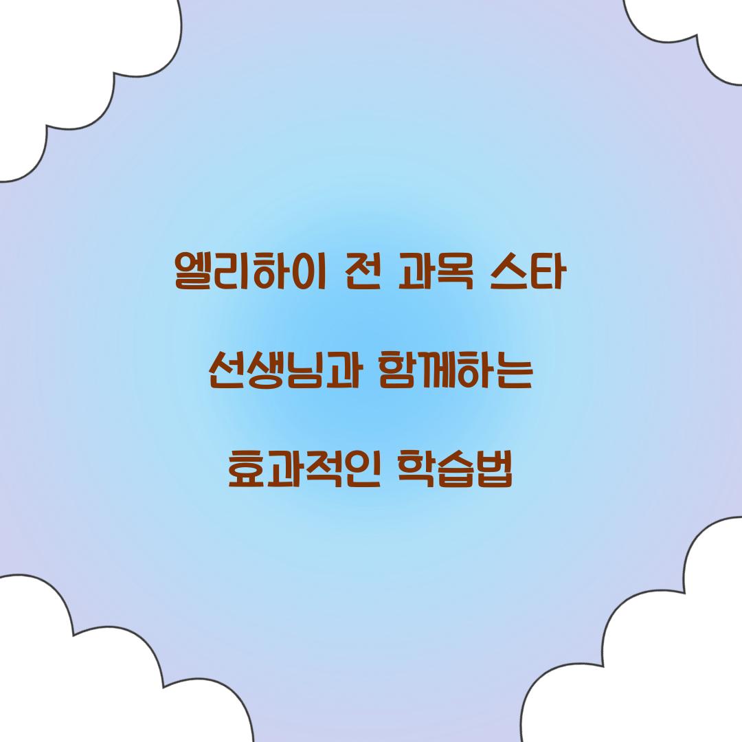 엘리하이 전 과목 스타 선생님
