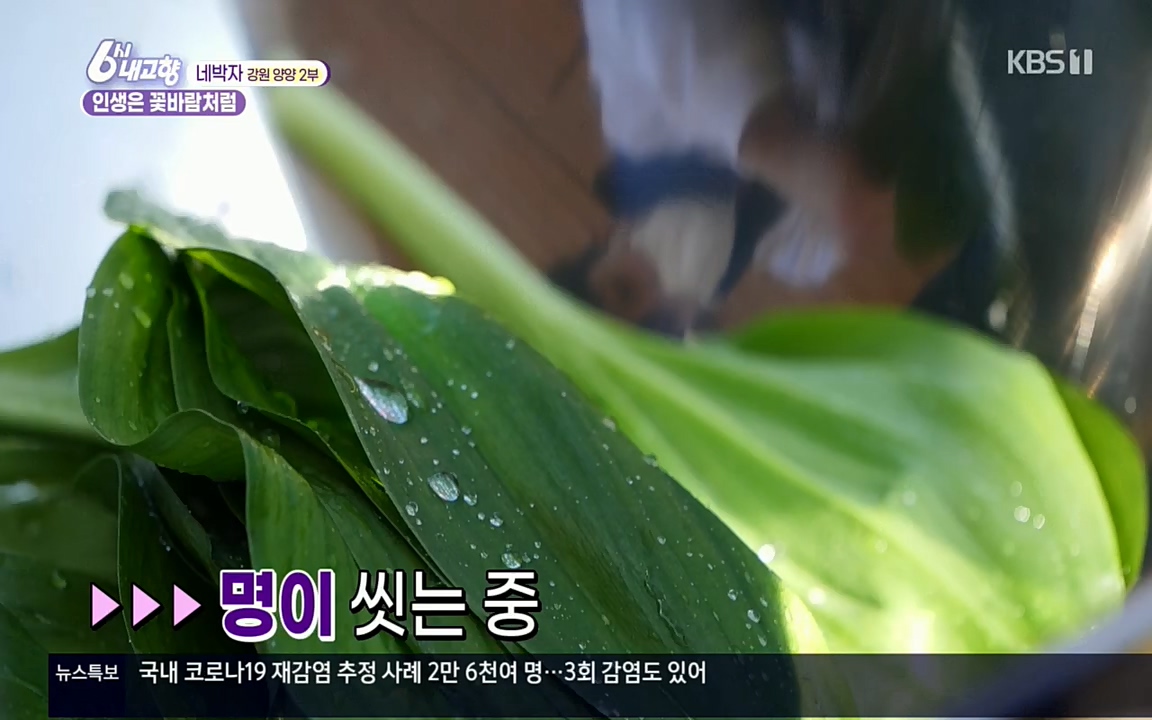 6시 내고향.E7510.220414p.H264-F1RST.mp4_20220419_185752.182.jpg