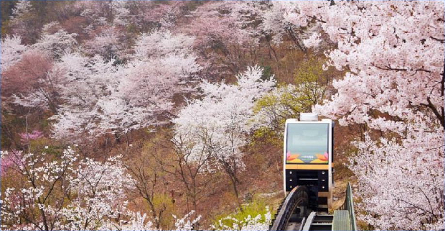 화담숲 전경