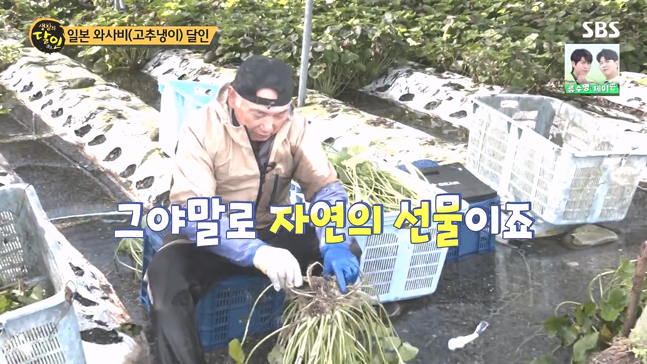 생활의 달인.E908.231017p-NEXT.mp4_20231017_200338.304.jpg