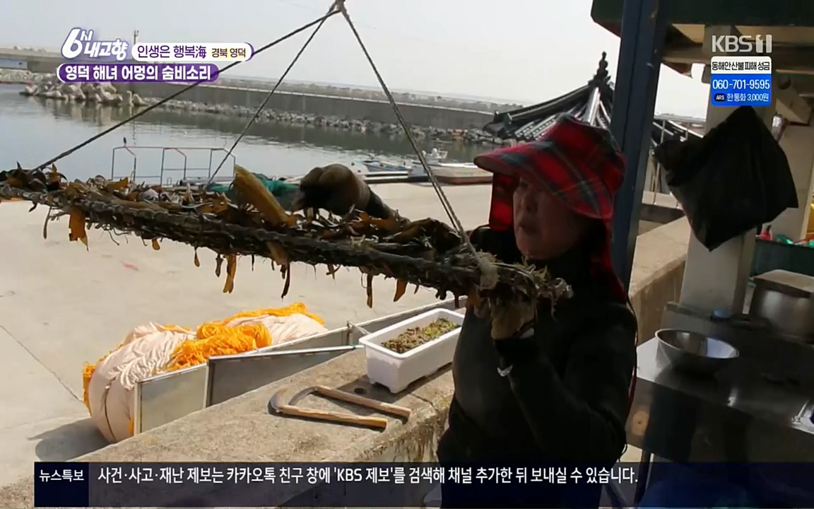 6시 내고향.E7498.220329p.H264-F1RST.mp4_20220329_184058.821.jpg