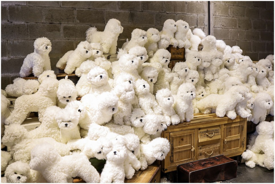 eos 캐논 EOS RP, 12