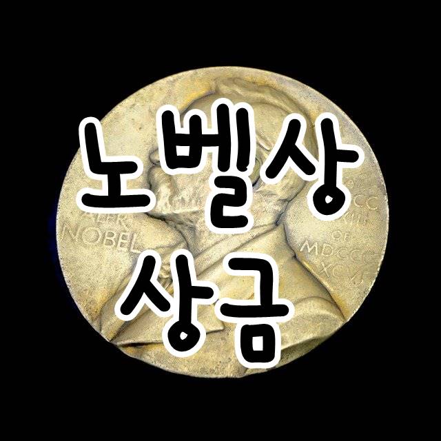  노벨상 상금 한화 노벨 화학상 상금 노벨 평화상 상금