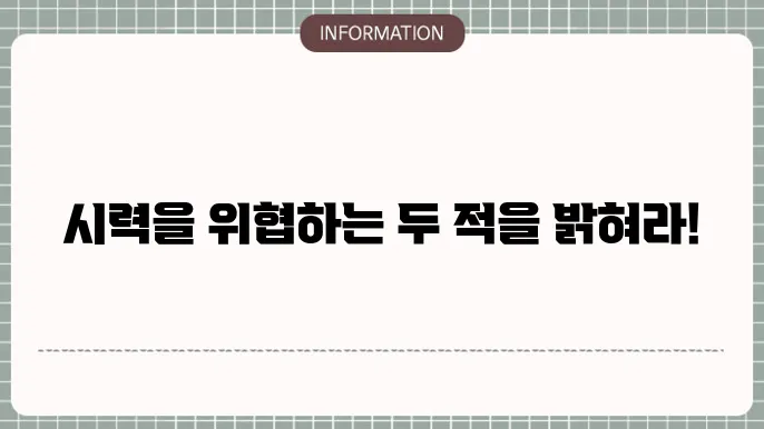 백내장 녹내장 백과: 