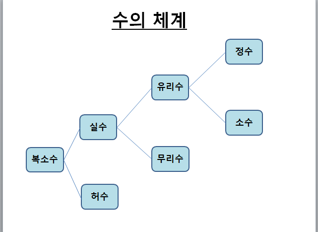  수의 종류