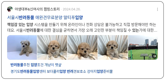 반려동물 책임감 있는 입양_3_subsection