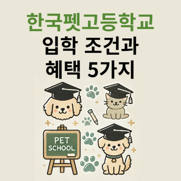 한국펫고등학교 입학 조건과 혜택 5가지 - 애견 전문가로 성장할 기회!