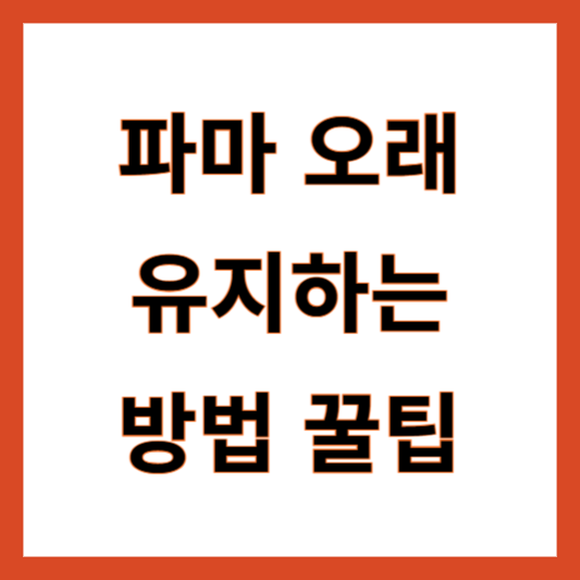 파마 오래 유지