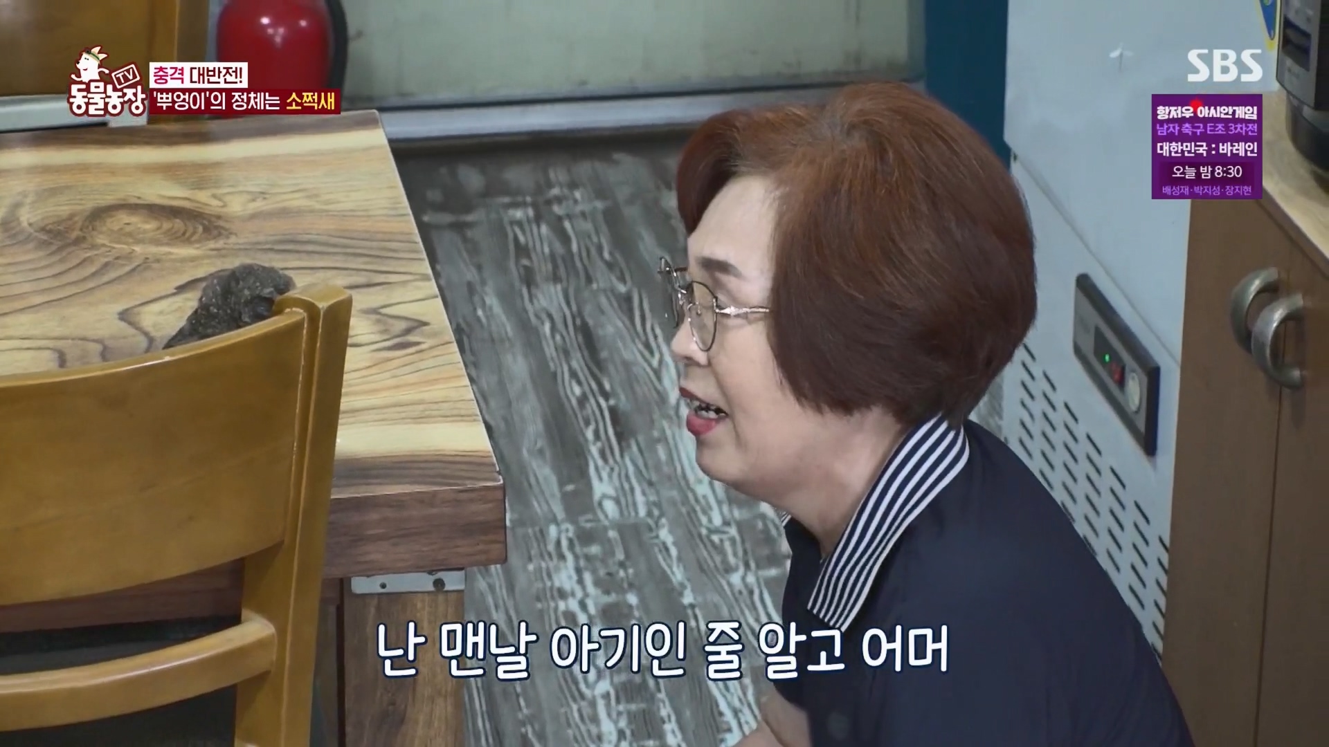 TV 동물농장.E1139.230924p.H264-F1RST.mp4_20230924_170655.258.jpg