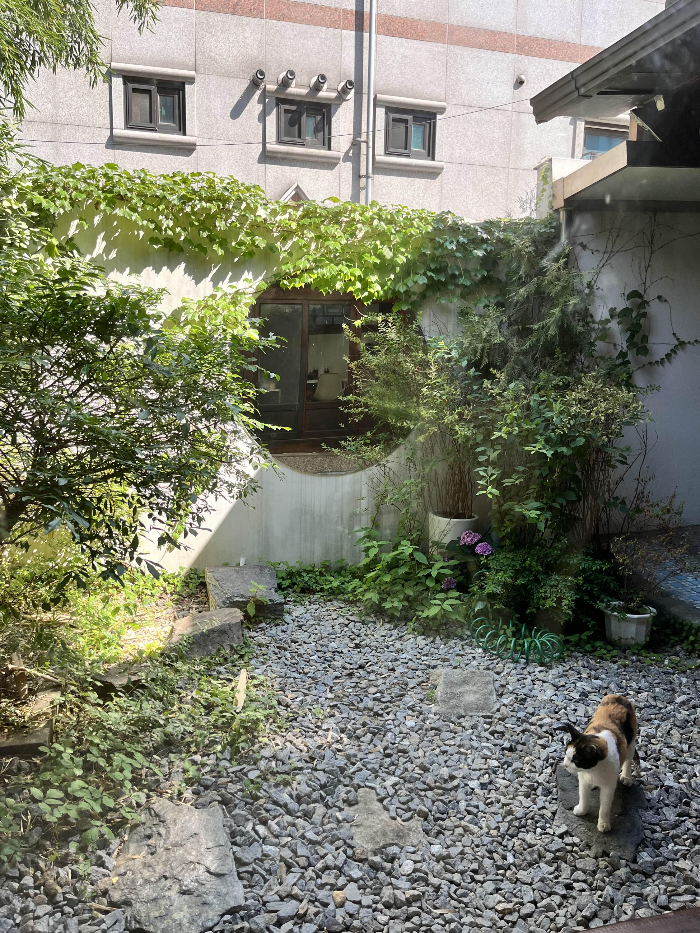 삼색이 등장