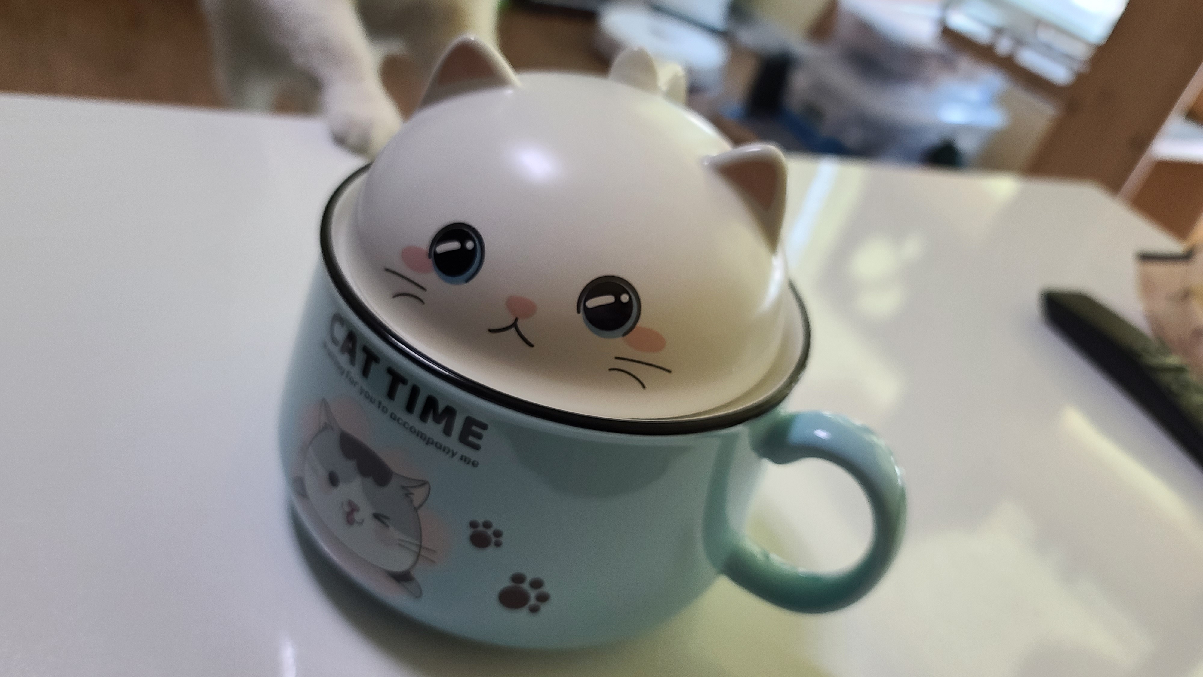  알리표 고양이 라면그릇