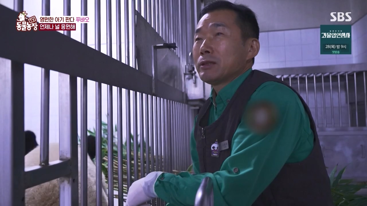 TV 동물농장.E1150.231218p-NEXT.mp4_20231217_171352.367.jpg