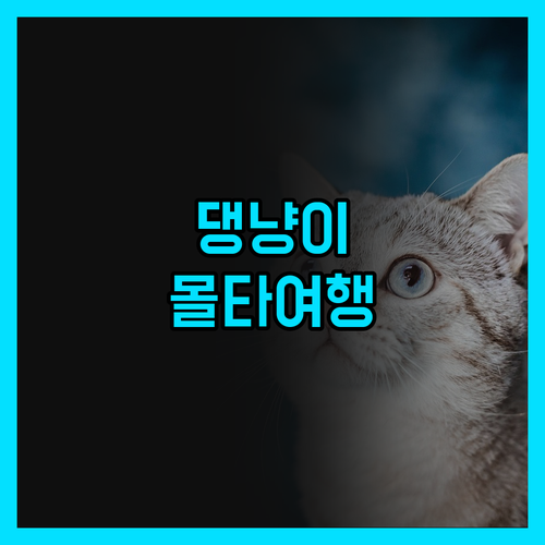 솔직 후기 애완동물과 함께 떠나는 몰