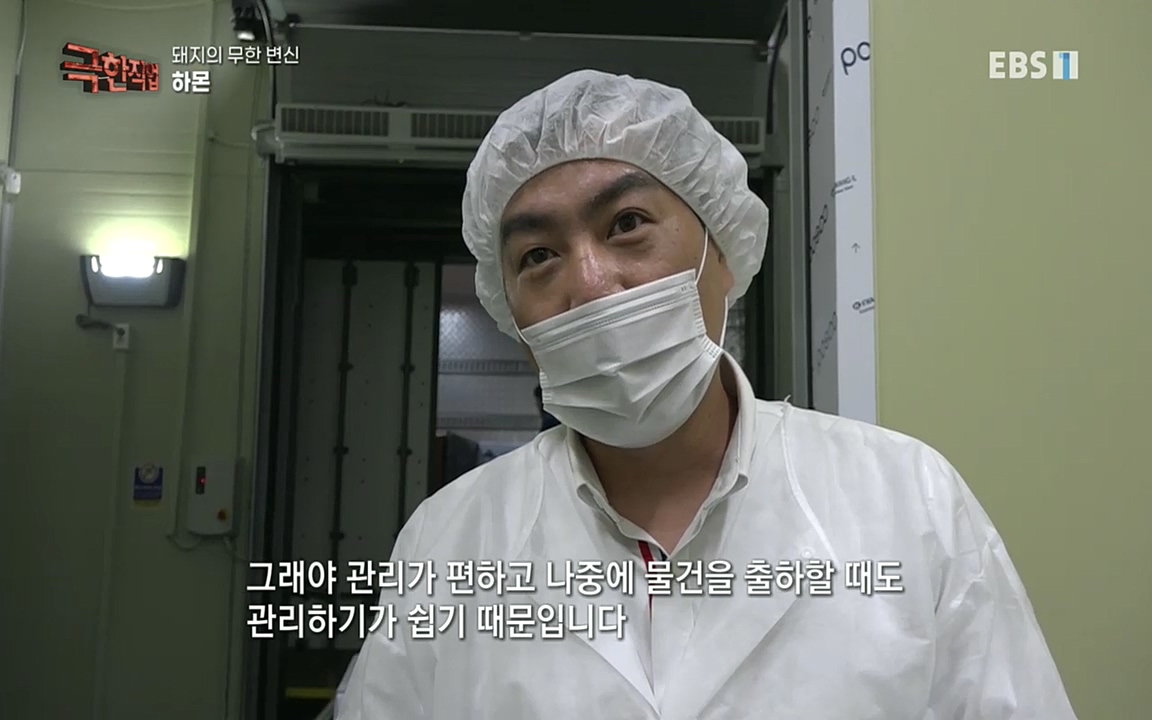 TV - 교육의 중심 EBS돼지의 무한 변신 - 하몬, 소시지, 순대.mp4_20220919_194359.450.jpg