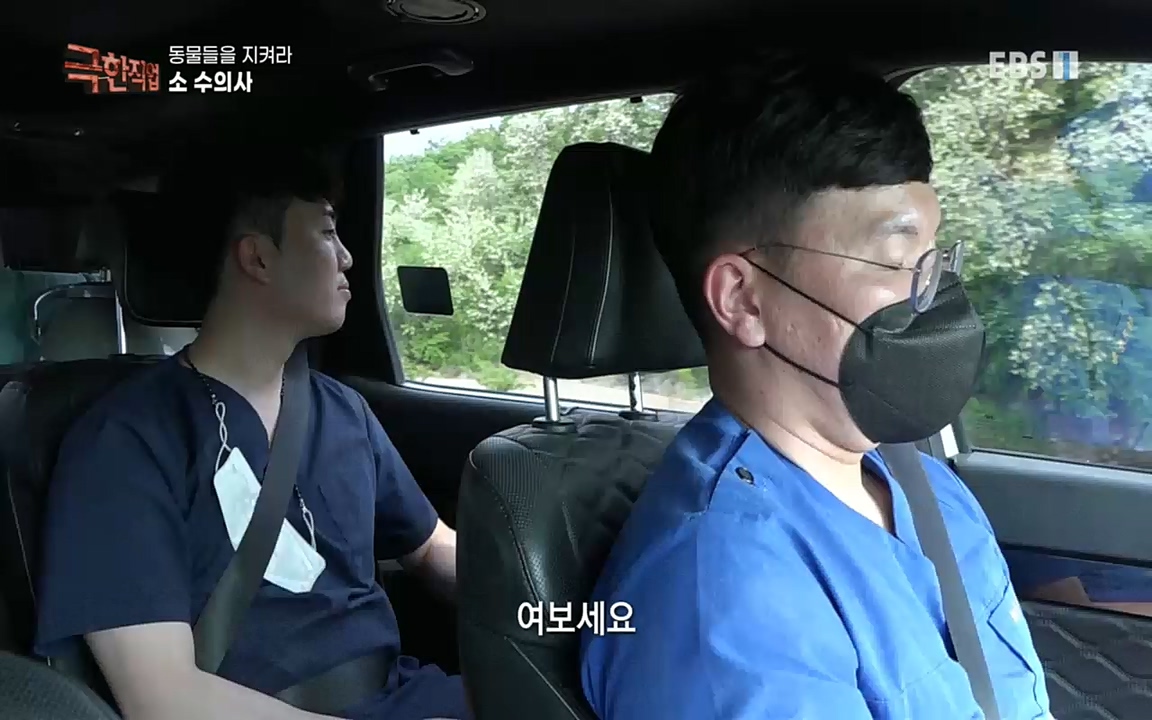 TV - 교육의 중심 EBS동물들을 지켜라, 수의사와 유기 동물 구조팀.mp4_20220913_200151.861.jpg