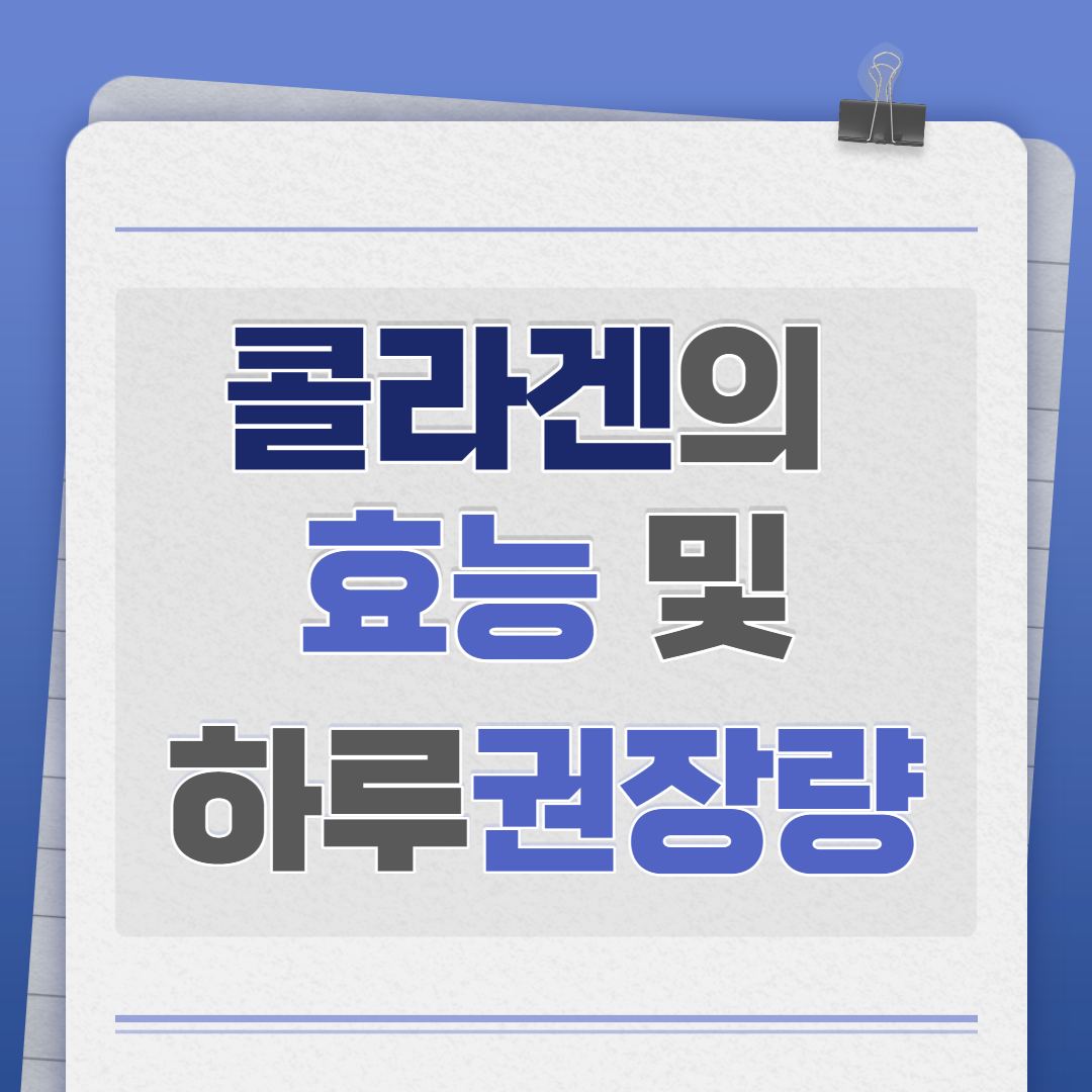  콜라겐의 효능 및 하루권장량