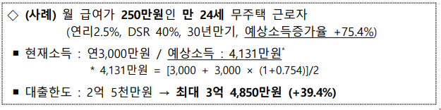  차주별 DSR규제 추가