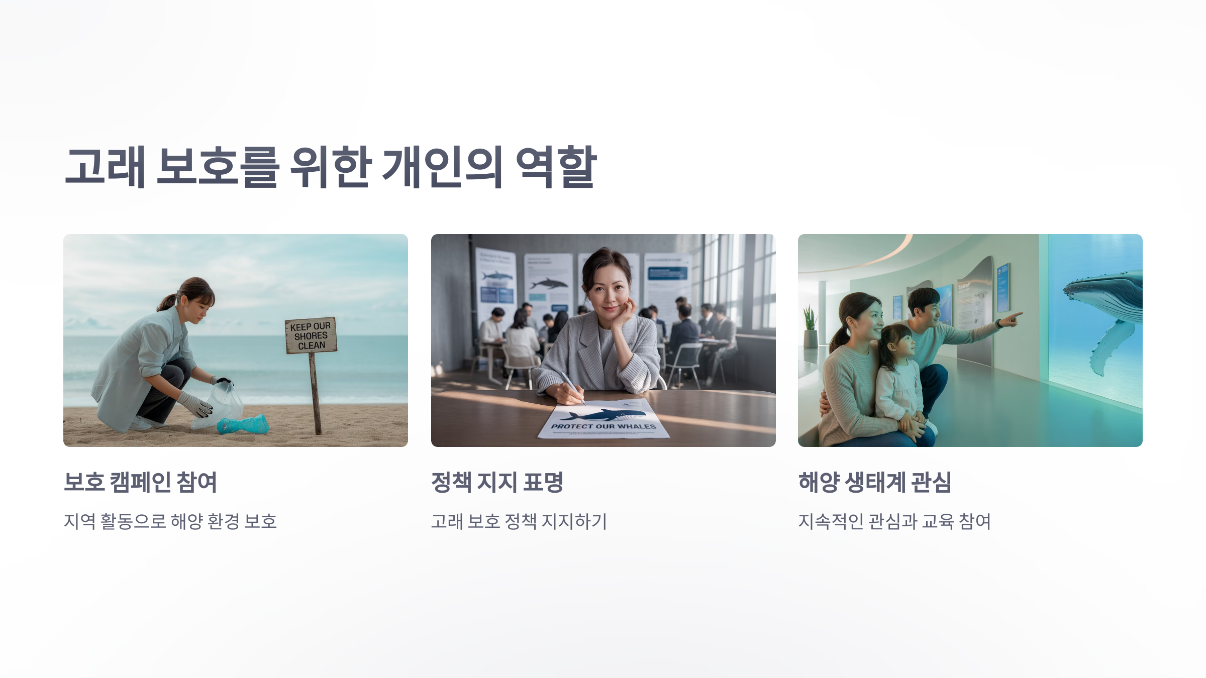 참조-충돌,-혹등고래가-숨지는-주요원인-6