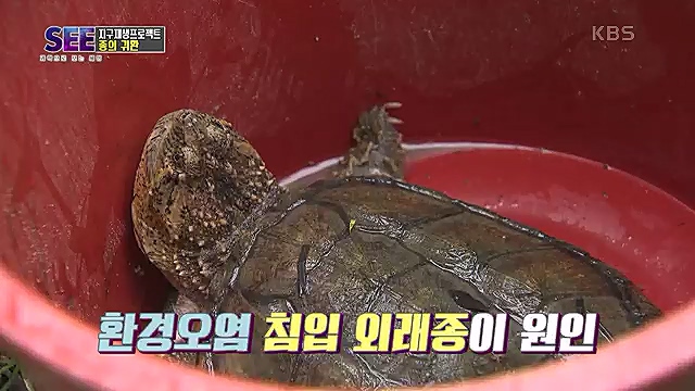 [88회] KBS 네트워크 특선 - KBS지구 재생 프로젝트, 종의 귀환.ts_20230309_201421.714.jpg