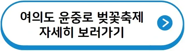 여의도 윤중로 벚꽃축제 보러가기