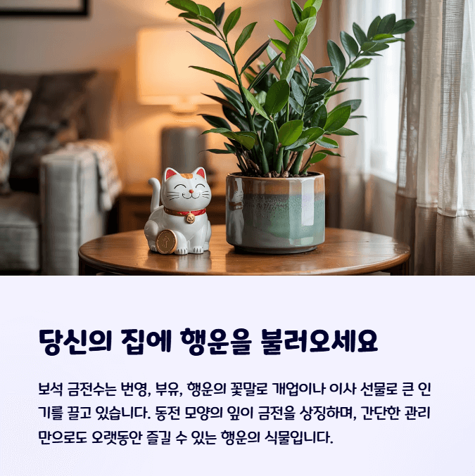 보석 금전수