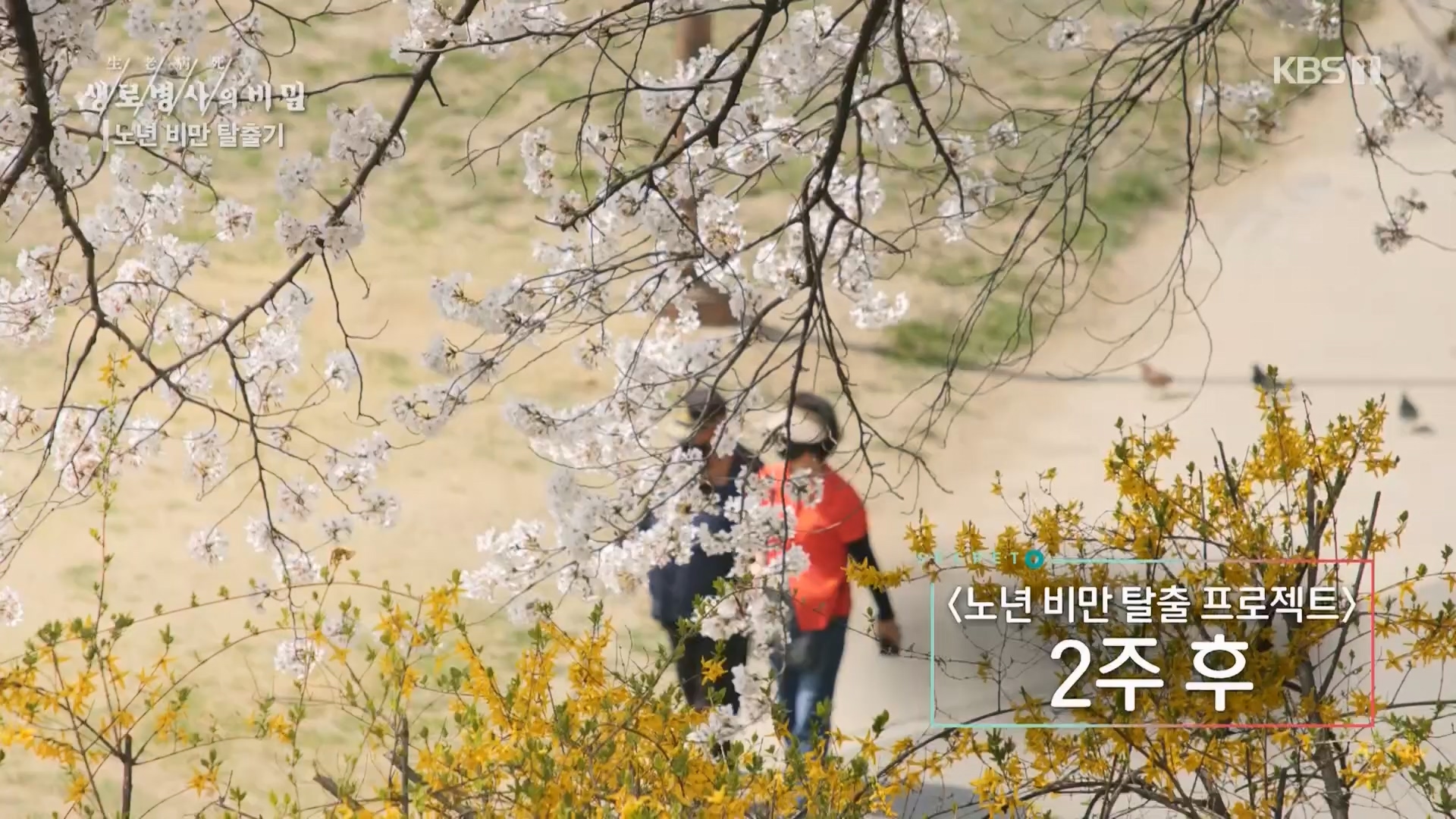 생로병사의 비밀.E864.230412p.H264-F1RST.mp4_20230414_211454.222.jpg