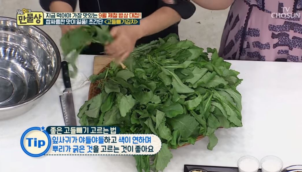  고들빼기김치 담는법..고들빼기 효능
