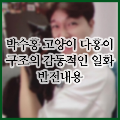  충격! 박수홍 고양이 다홍이 감동 일화 반전 및 진실 논란