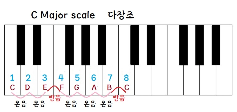 Structure of the C major scale