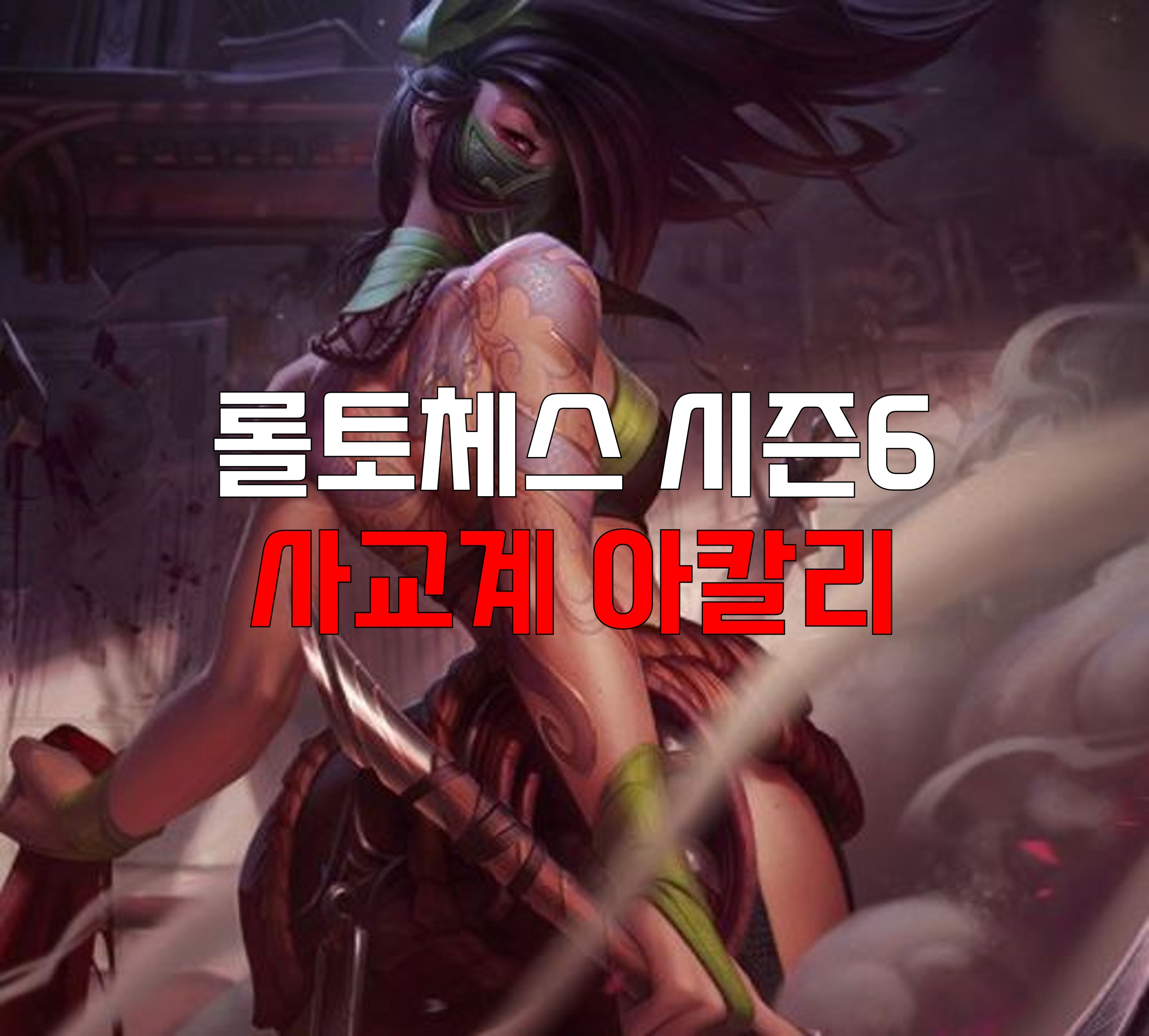  롤토체스 시즌6 사교계 아칼리 덱