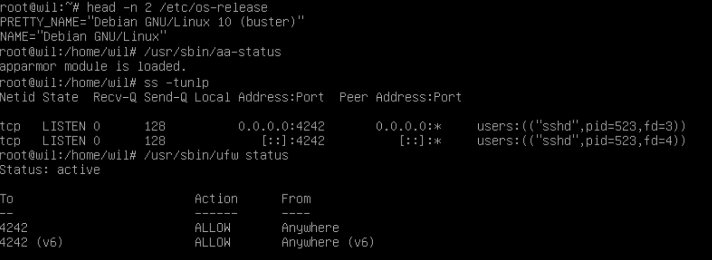 debian os