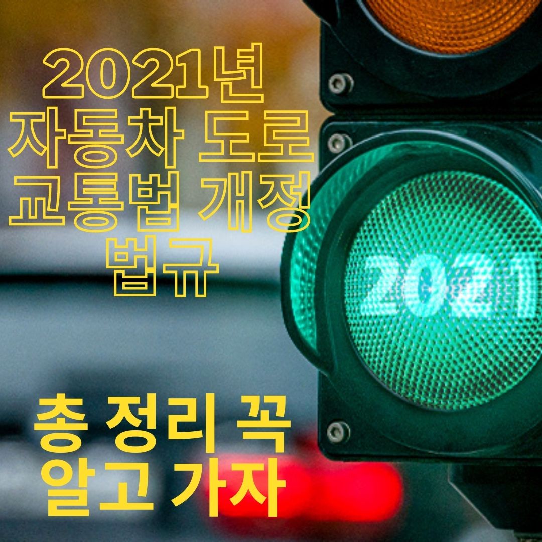 자동차 도로교통법_신호등_2021