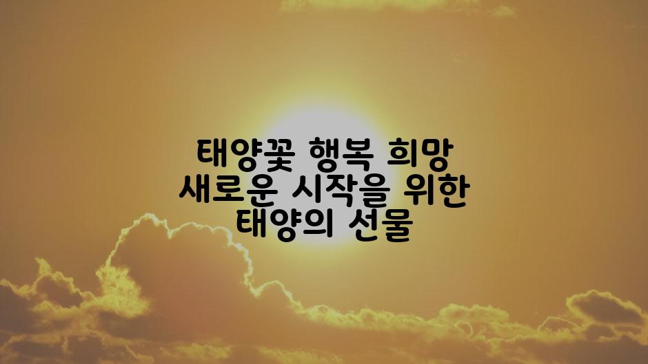 태양꽃 행복 희망 새로운 시작을 위한 태양의 선물
