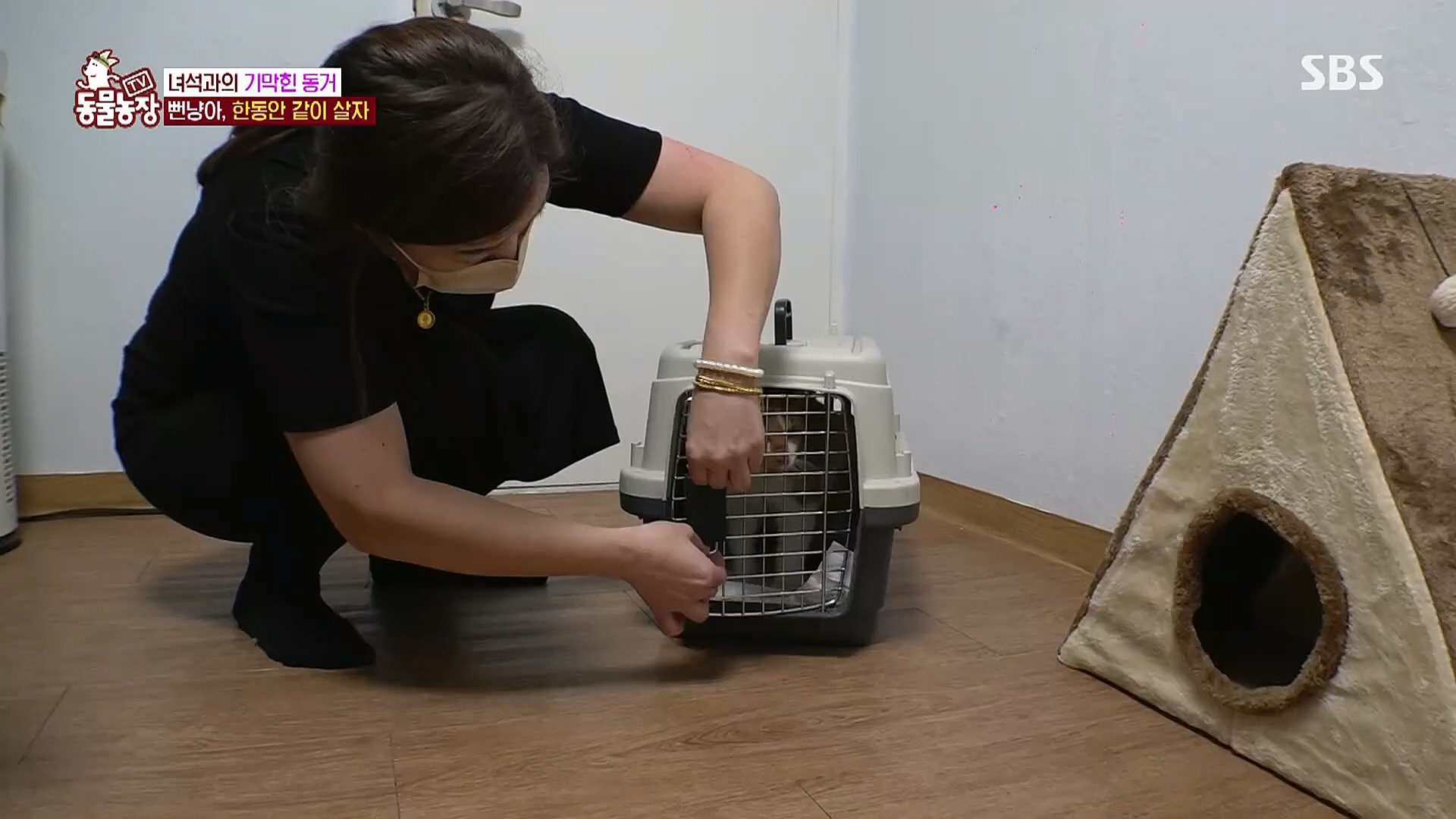 TV 동물농장.E1104.230115p.H264-F1RST.mp4_20230115_173212.043.jpg