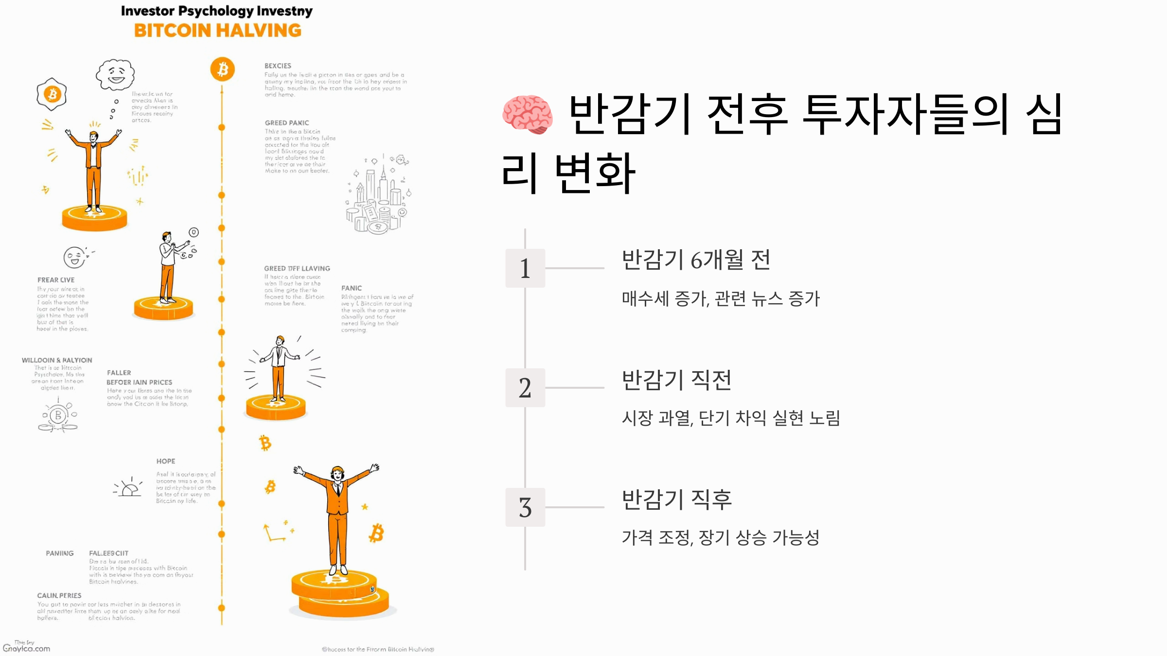 반감기 전후 투자자들의 심리 변화