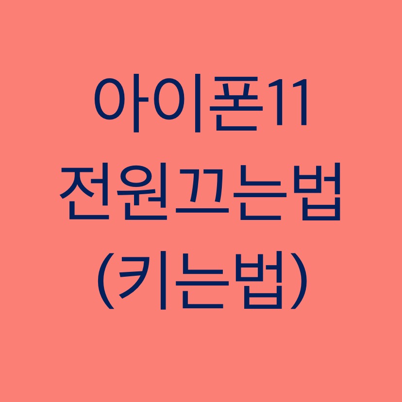  알쓸팁::아이폰11 전원끄는법(키는법)
