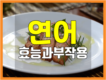  오메가3 지방산 풍부한 연어의 효능과 부작용은?