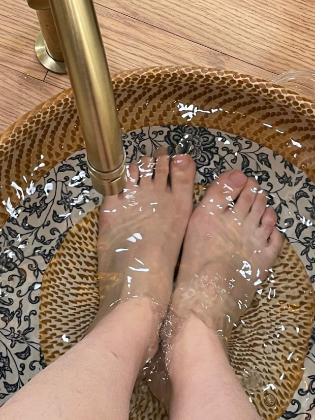 월드라이프 이미지